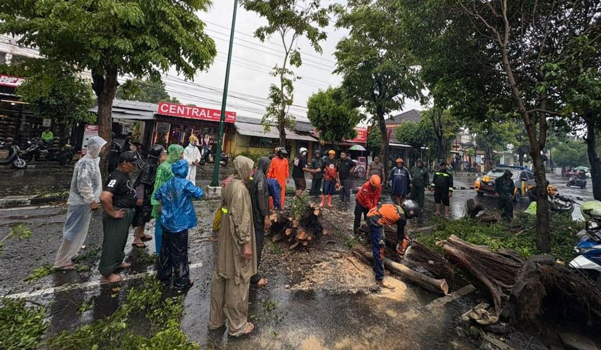 Cuaca Ekstrem Landa DIY, 10 Pohon Tumbang dan 6 Rumah Rusak